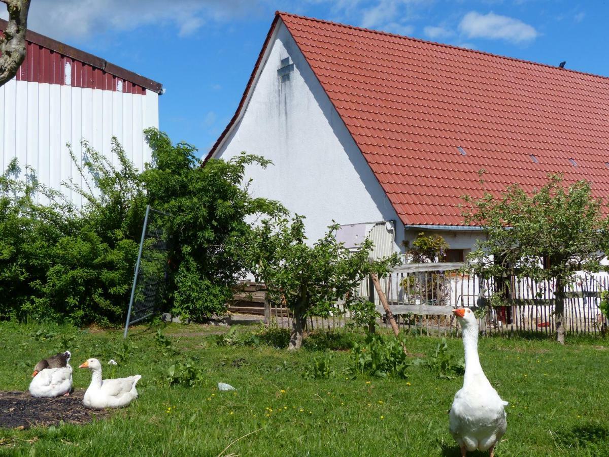 Die Gefaehrten Oberhausen (Sudliche Weinstrasse) Exterior foto